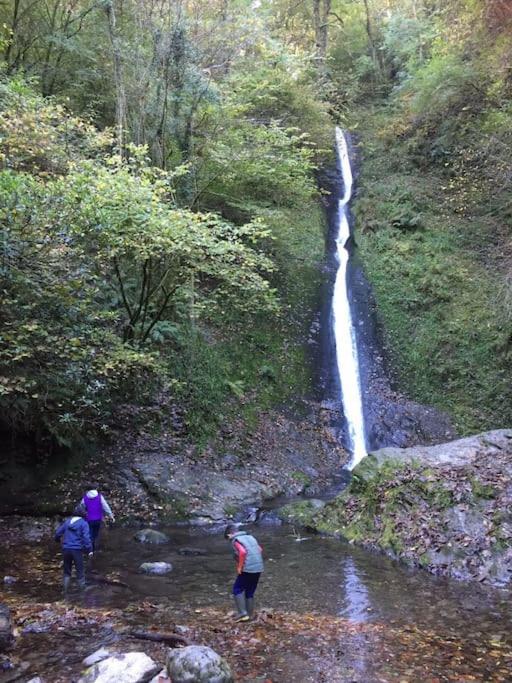 Tamar Valley, Cornwall Callington ภายนอก รูปภาพ